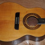 1960 Tony zemaitis Acoustic